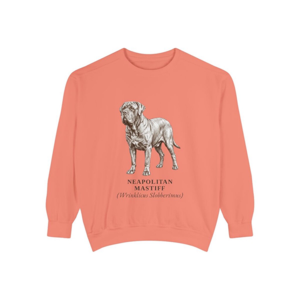 neapolitan-mastiff-sweatshirt-latin-terracotta Neapolitan Mastiff Latin Sweatshirt, Terracotta, front view
