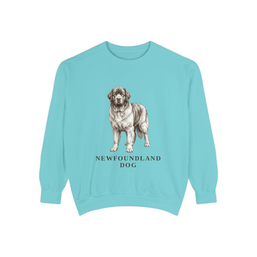 Newfoundland Dog Sweatshirt, Chalky Mint, front view