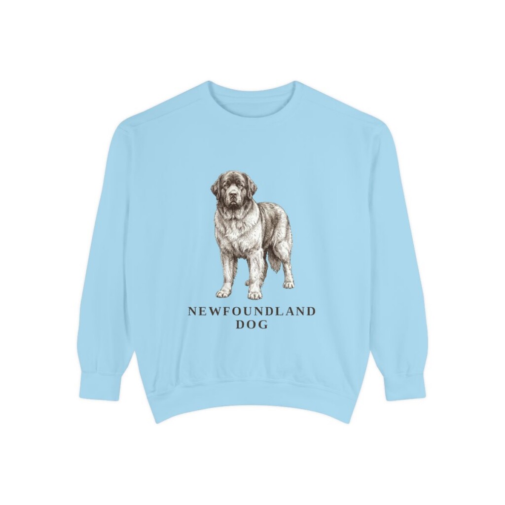 Newfoundland Dog Sweatshirt, Chambray, front view