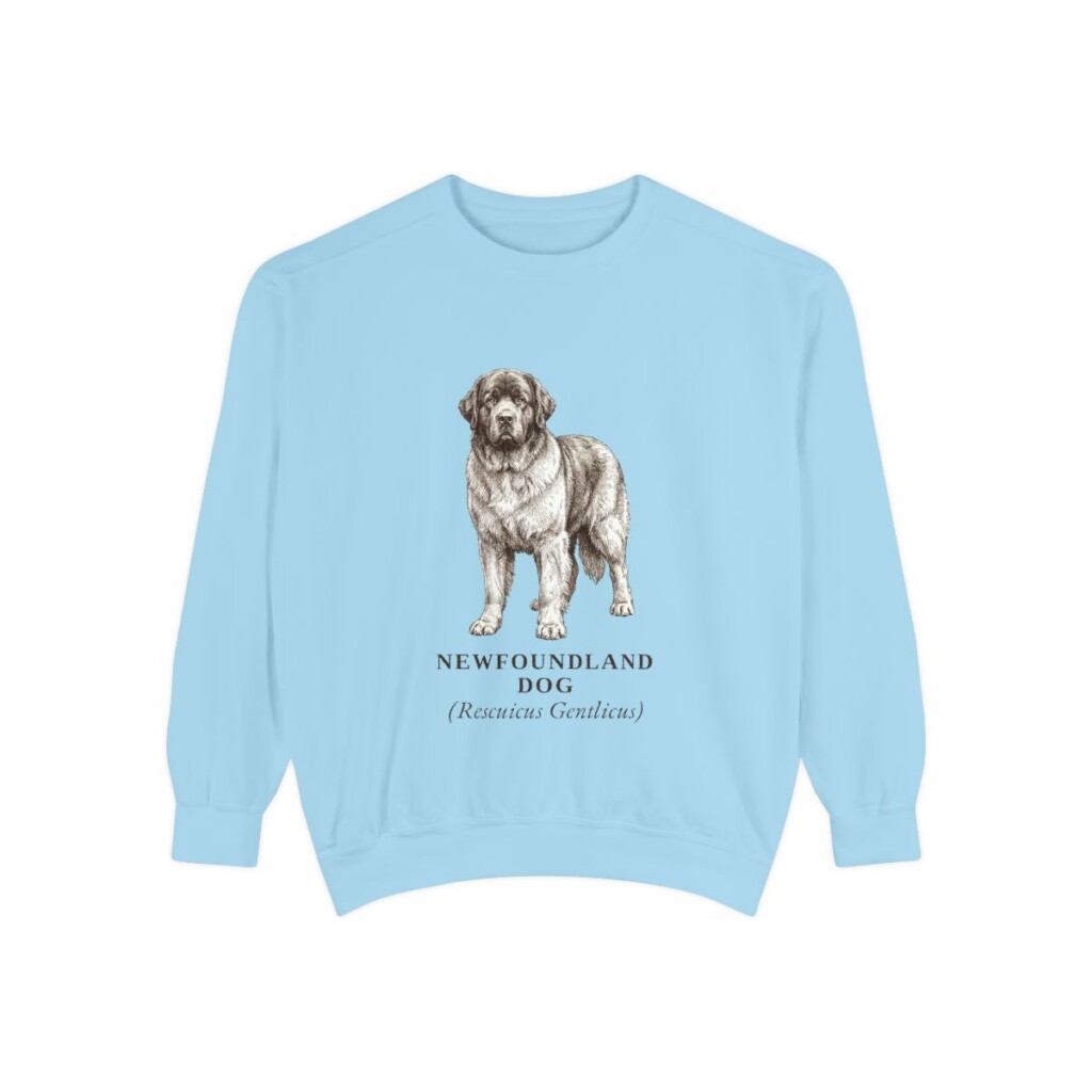 Newfoundland Dog Latin Sweatshirt, Chambray, front view