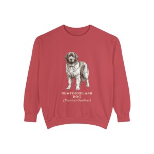 Newfoundland Dog Latin Sweatshirt, Crimson, front view