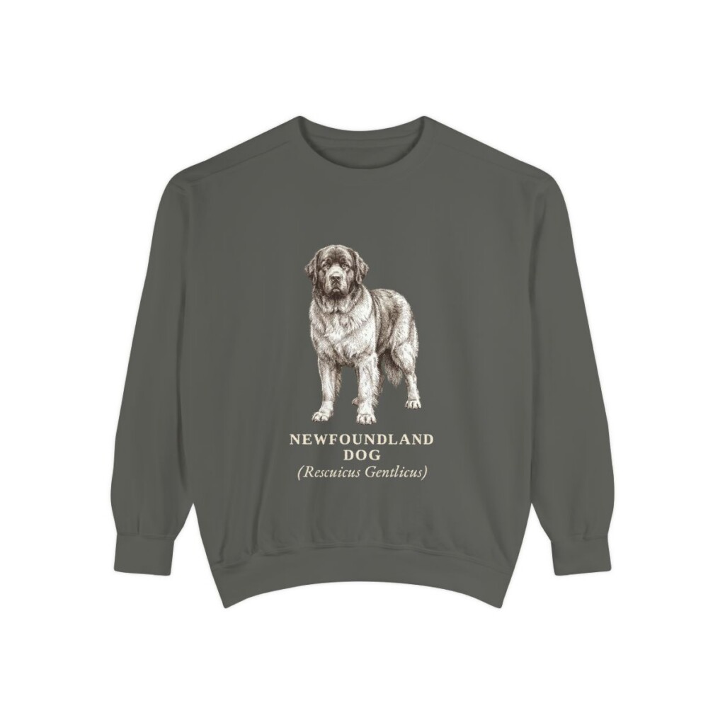 Newfoundland Dog Latin Sweatshirt, Pepper, front view