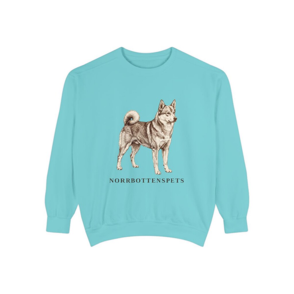 Norrbottenspets Sweatshirt, Chalky Mint, front view
