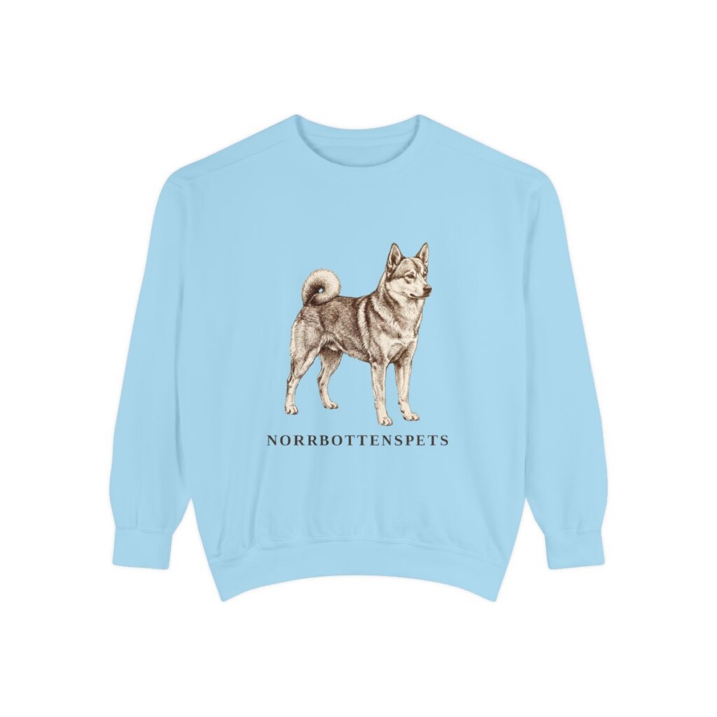 Norrbottenspets Sweatshirt, Chambray, front view