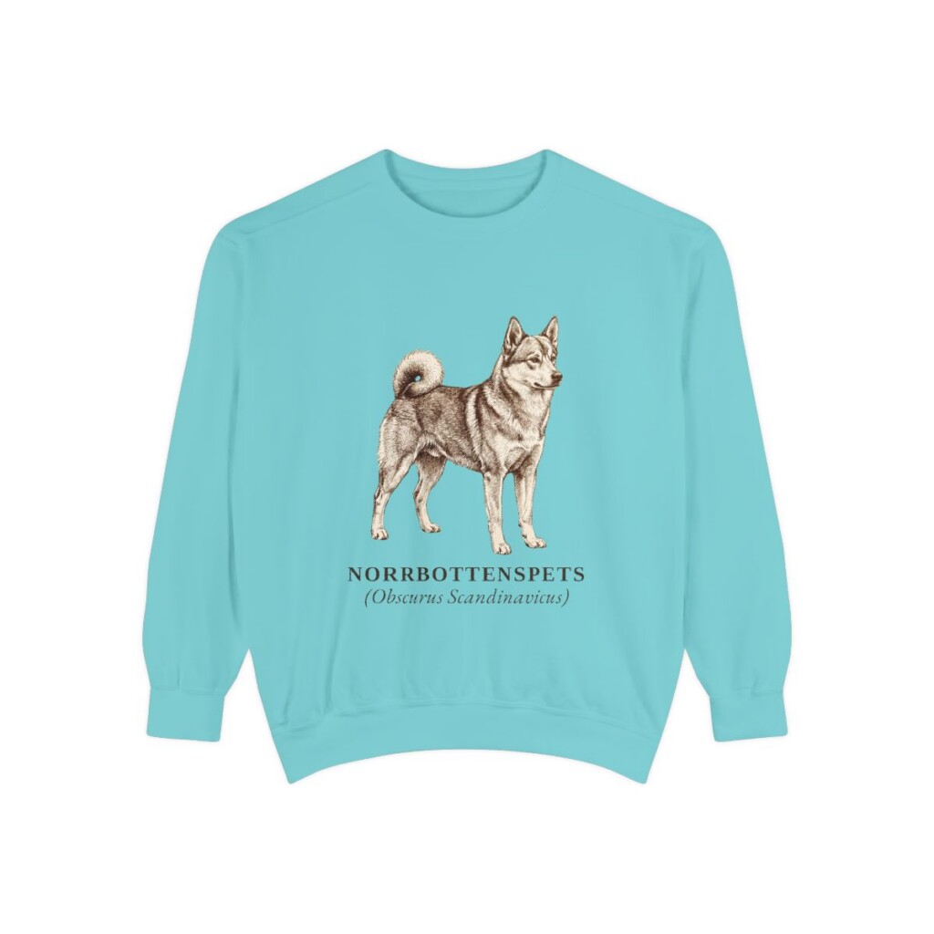 Norrbottenspets Latin Sweatshirt, Chalky Mint, front view