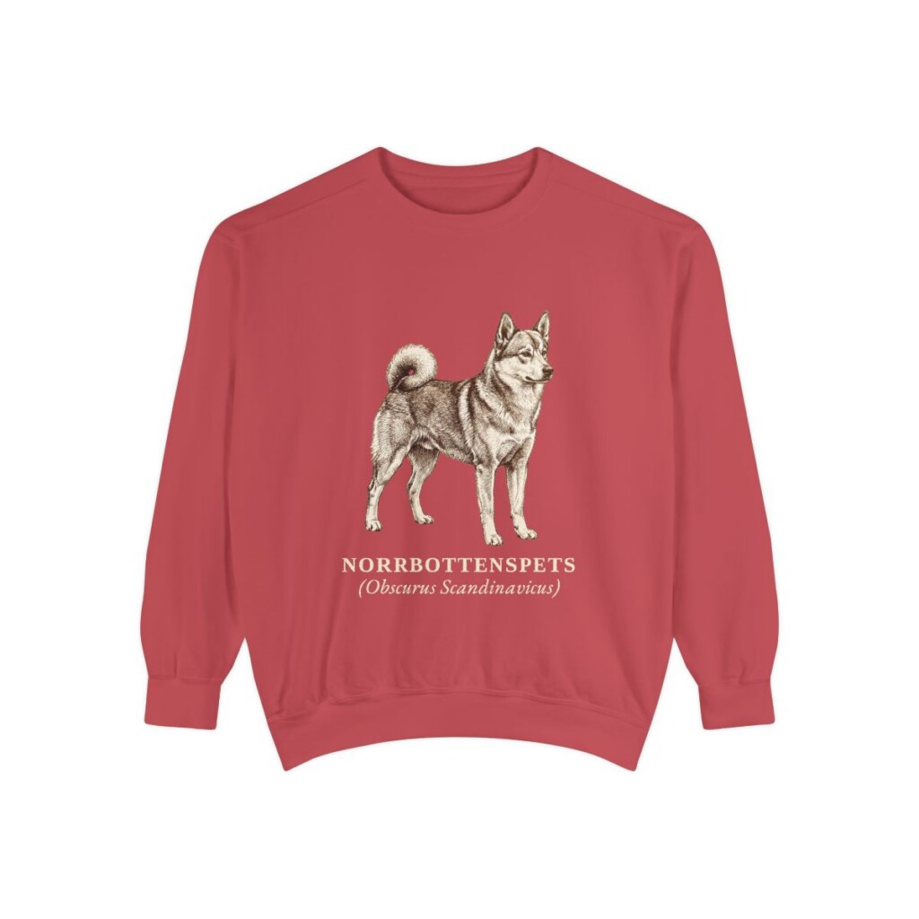Norrbottenspets Latin Sweatshirt, Crimson, front view