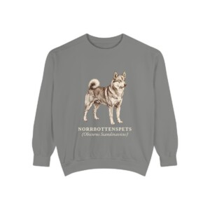 Norrbottenspets Latin Sweatshirt, Grey, front view