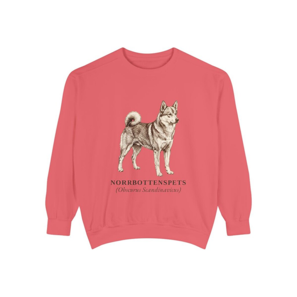 Norrbottenspets Latin Sweatshirt, Watermelon, front view