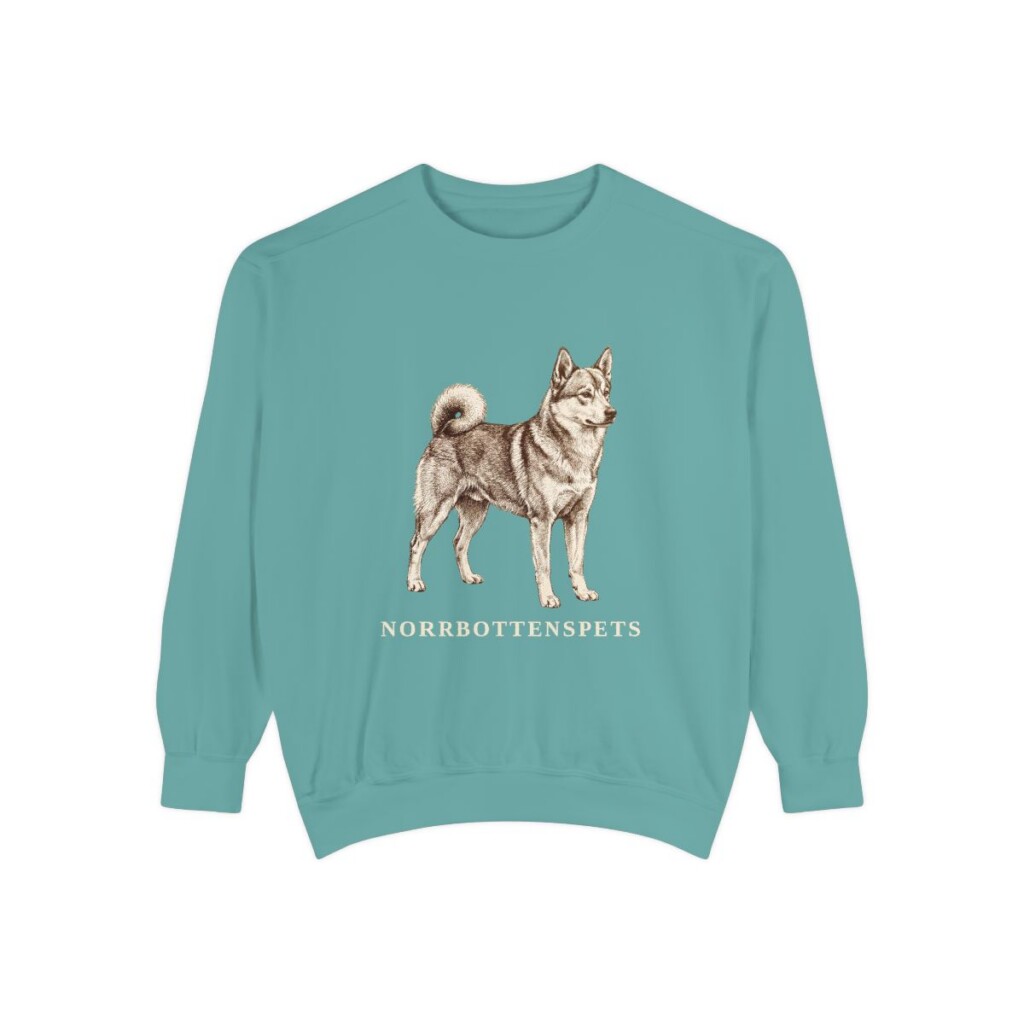 Norrbottenspets Sweatshirt, Seafoam, front view