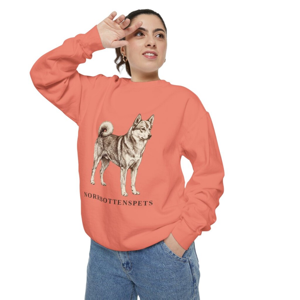 Norrbottenspets Sweatshirt, Terracotta, person 2 context