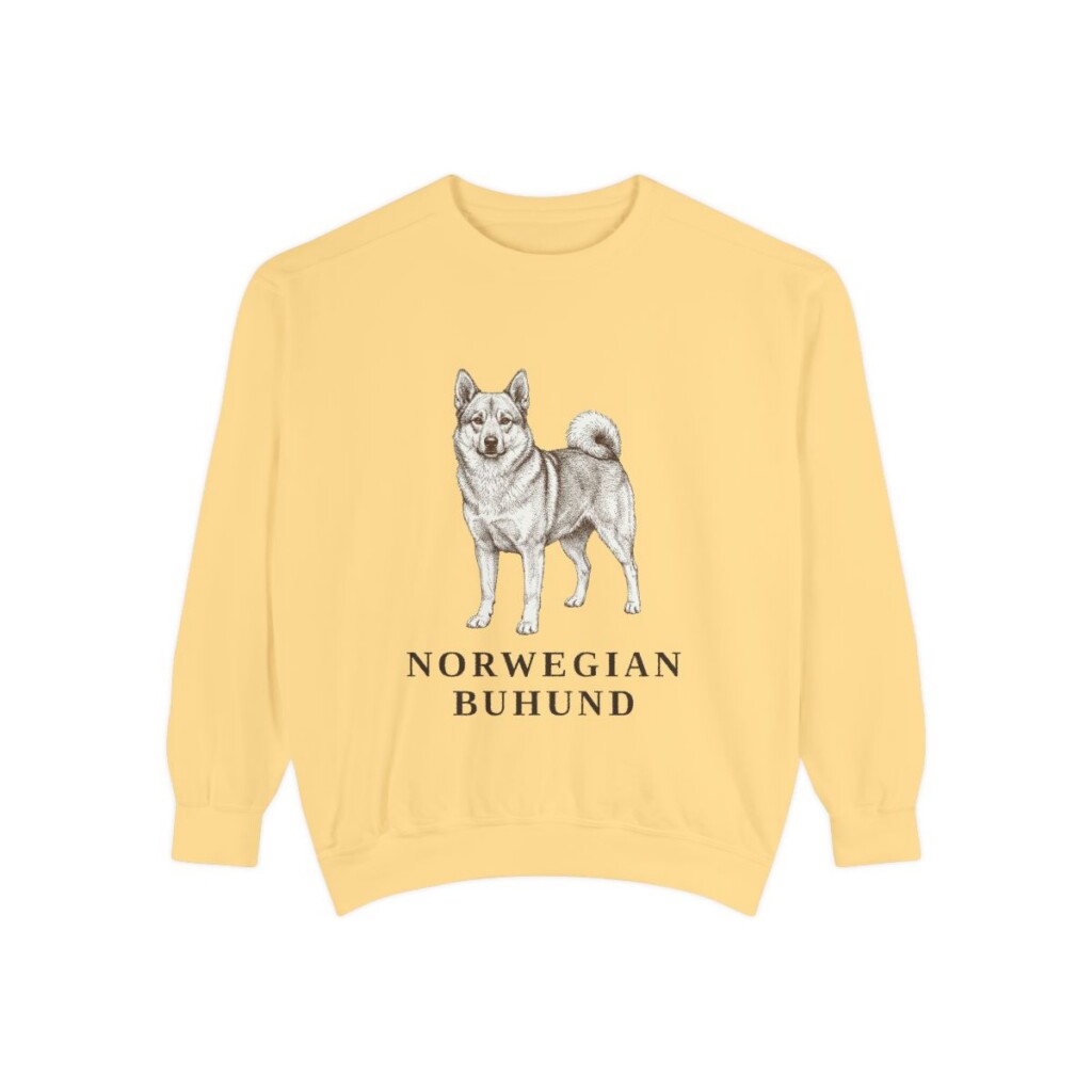 Norwegian Buhund Sweatshirt, Butter, front view