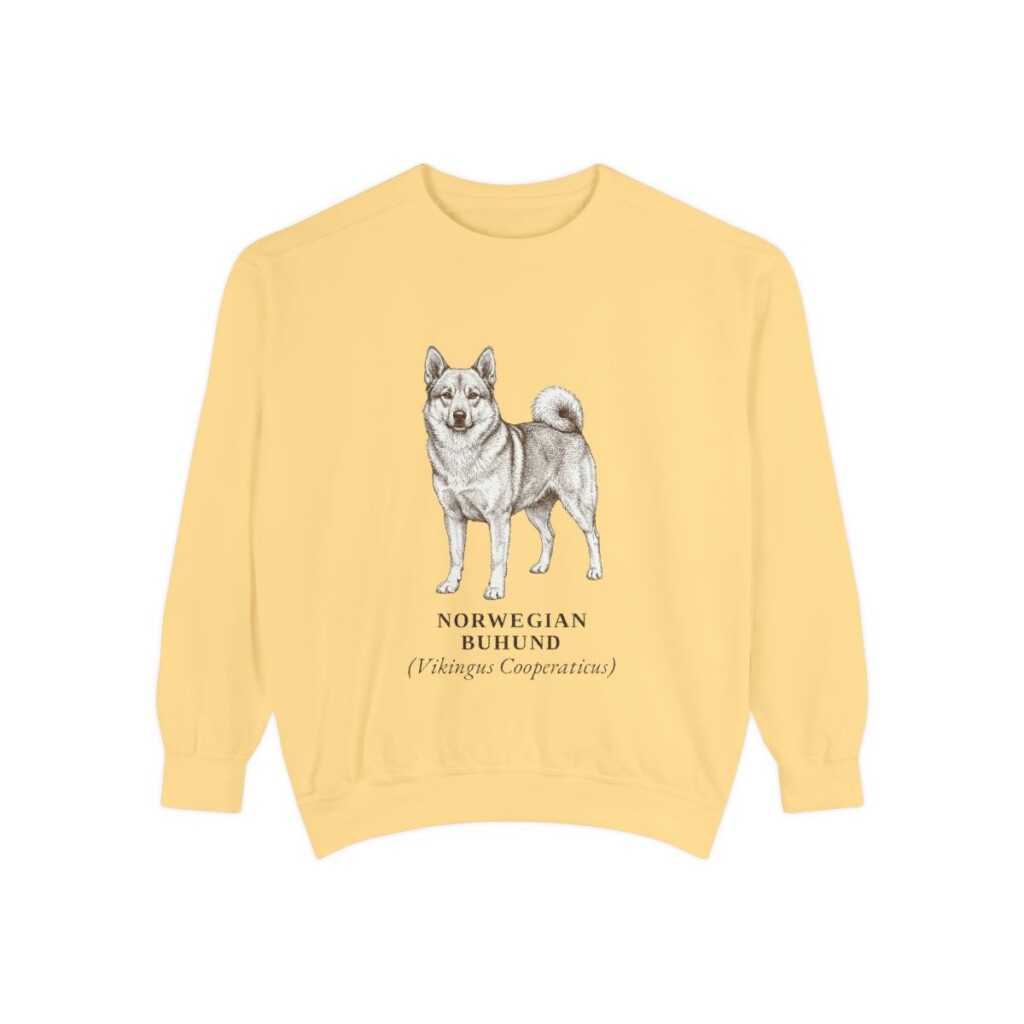 Norwegian Buhund Latin Sweatshirt, Butter, front view