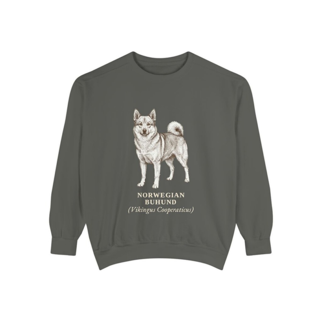 Norwegian Buhund Latin Sweatshirt, Pepper, front view