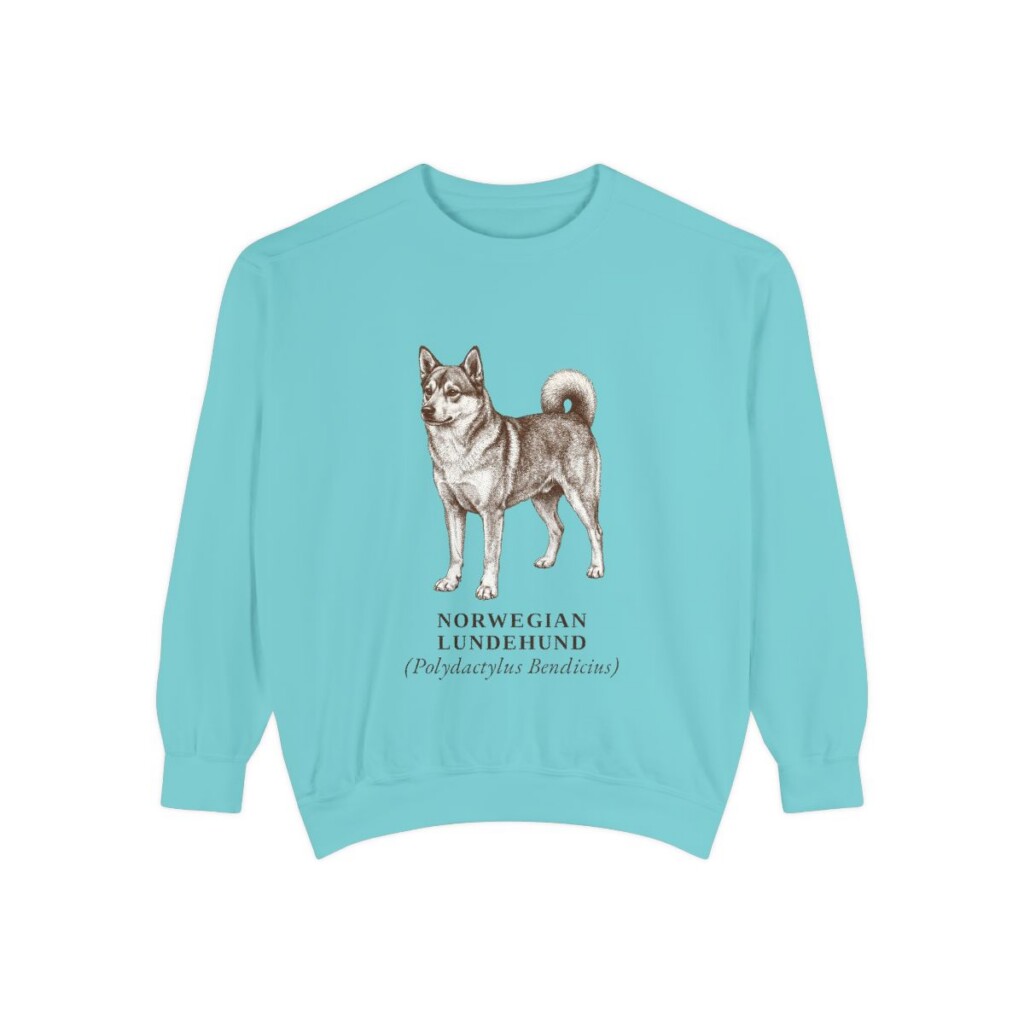Norwegian Lundehund Latin Sweatshirt, Chalky Mint, front view