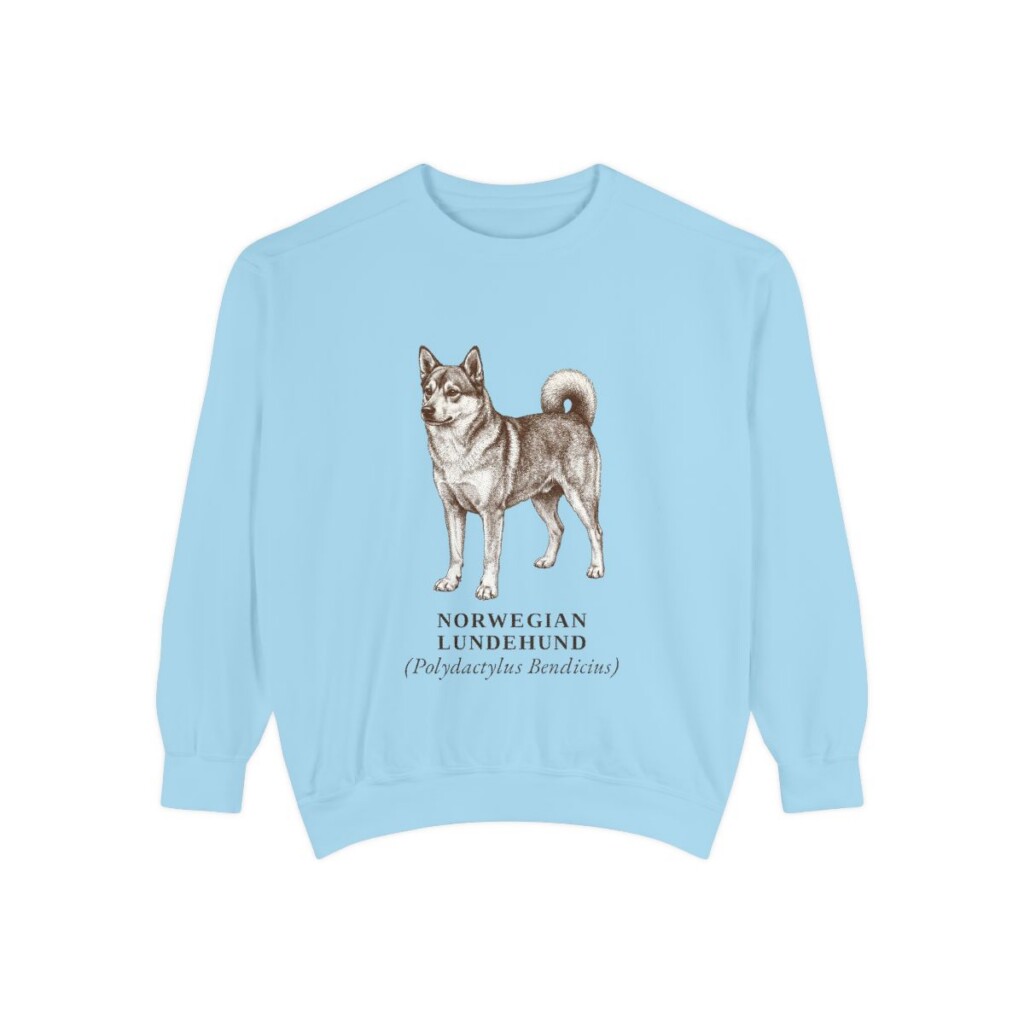 Norwegian Lundehund Latin Sweatshirt, Chambray, front view