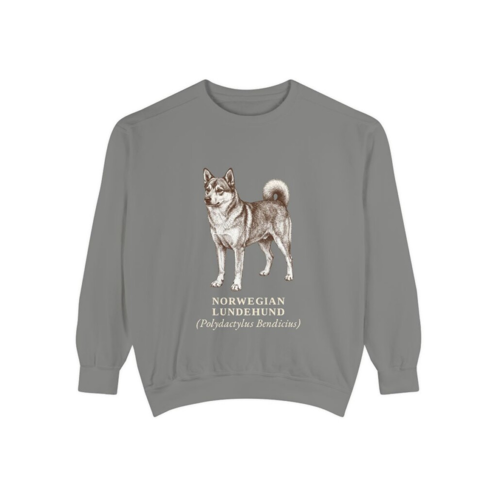 Norwegian Lundehund Latin Sweatshirt, Grey, front view