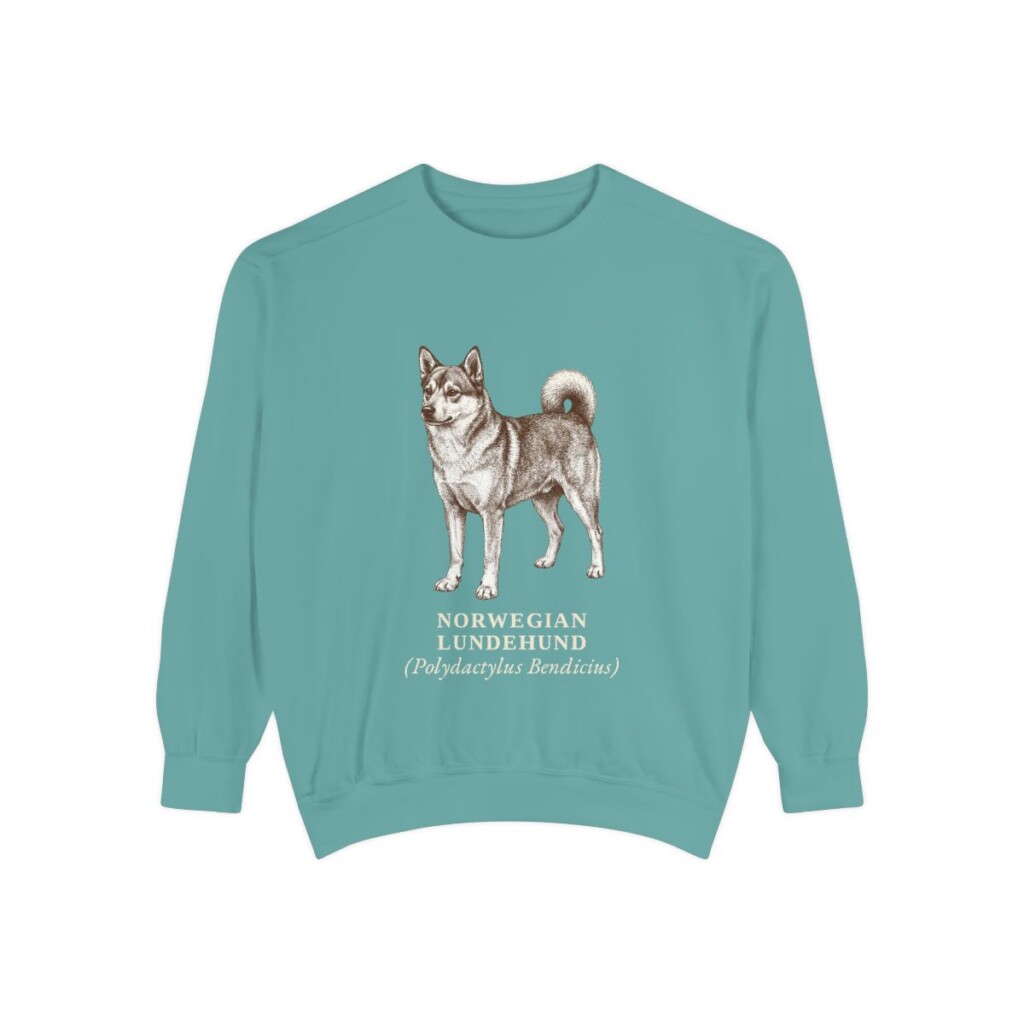 Norwegian Lundehund Latin Sweatshirt, Seafoam, front view