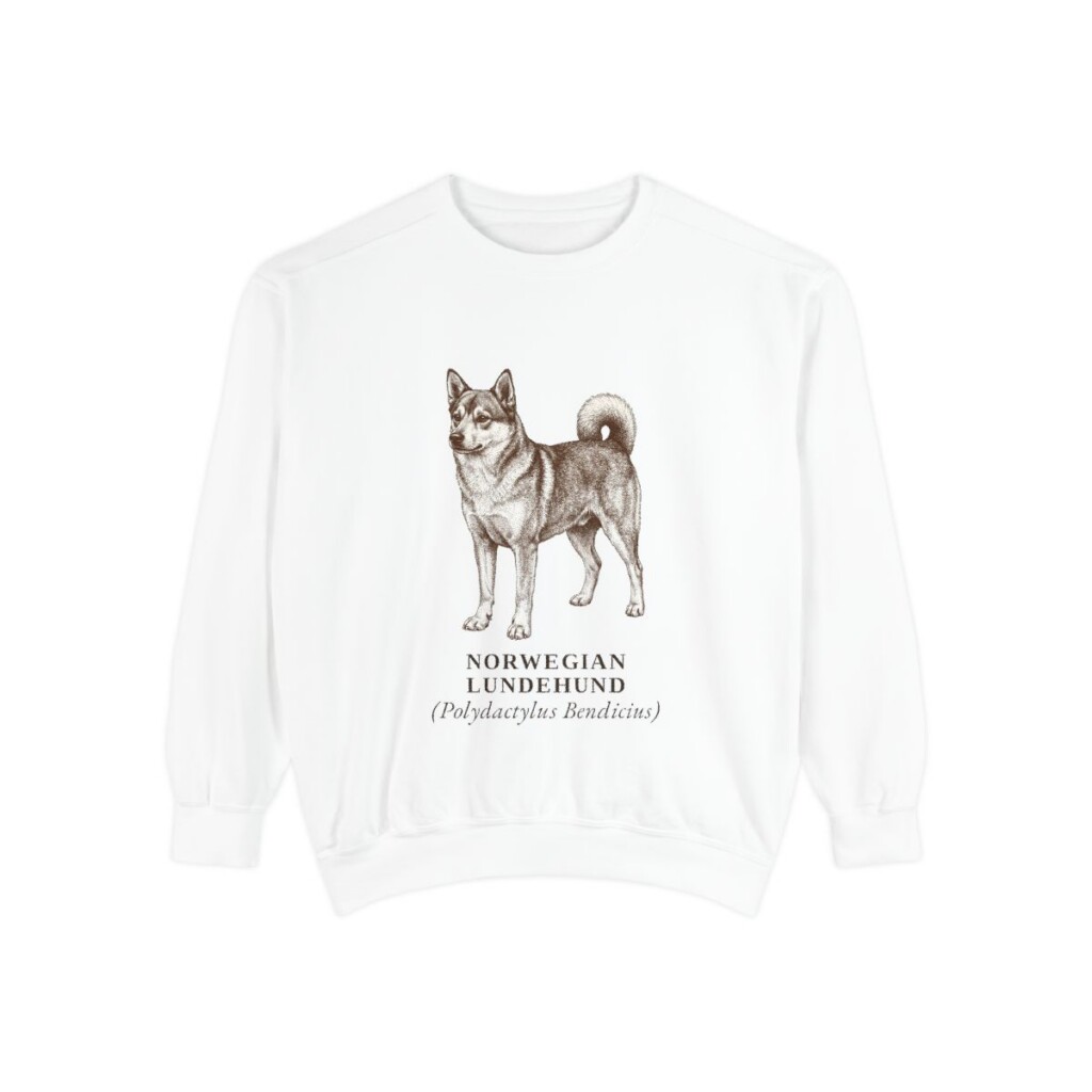 Norwegian Lundehund Latin Sweatshirt, White, front view