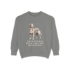 Nova Scotia Duck Tolling Retriever Sweatshirt, Grey, front view