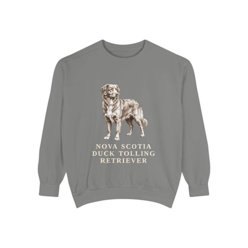 Nova Scotia Duck Tolling Retriever Sweatshirt, Grey, front view