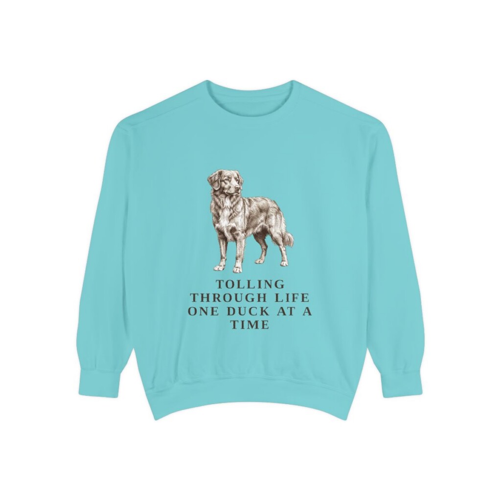 Nova Scotia Duck Tolling Retriever Humor Sweatshirt, Chalky Mint, front view