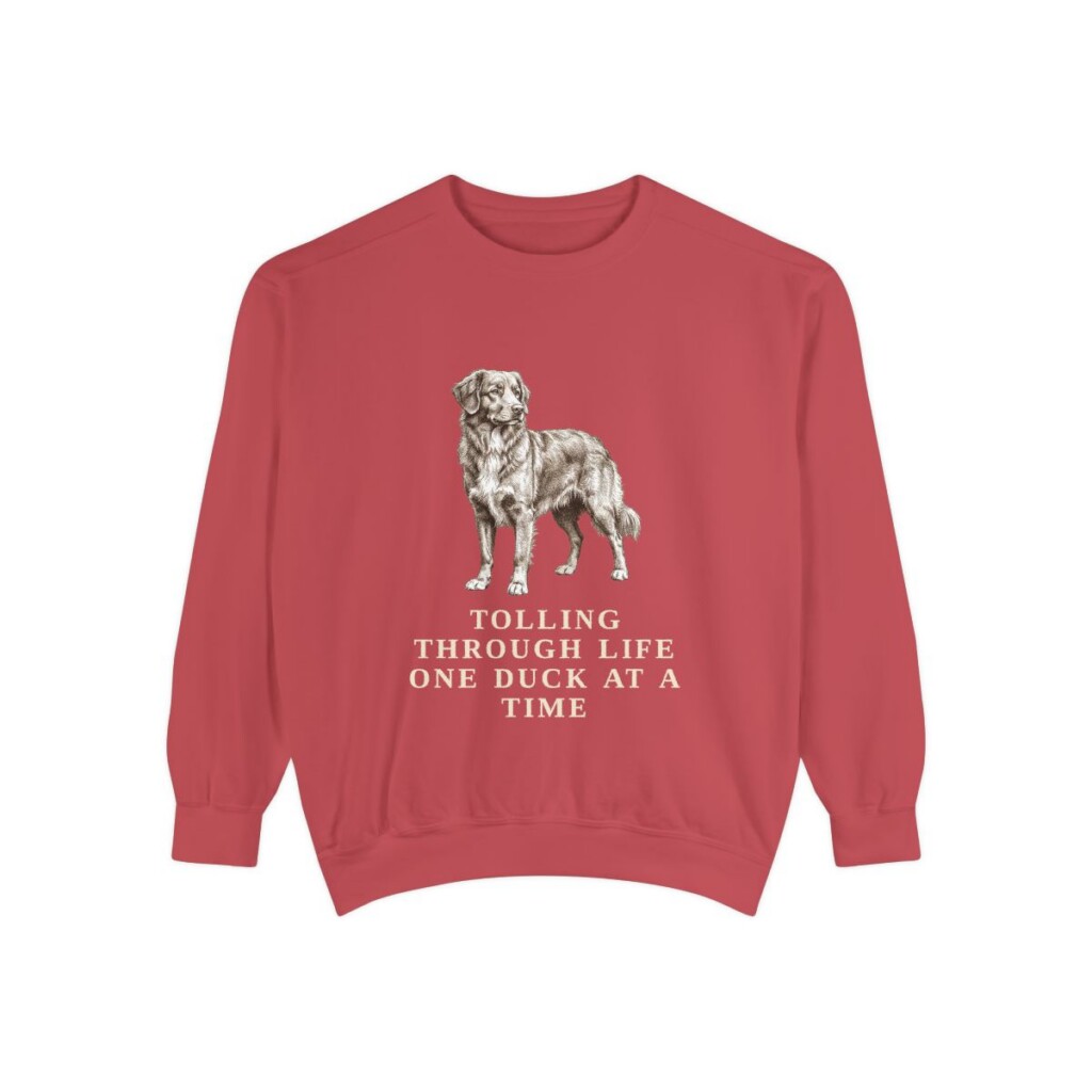Nova Scotia Duck Tolling Retriever Humor Sweatshirt, Crimson, front view