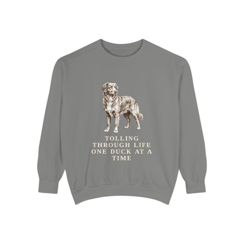 Nova Scotia Duck Tolling Retriever Humor Sweatshirt, Grey, front view