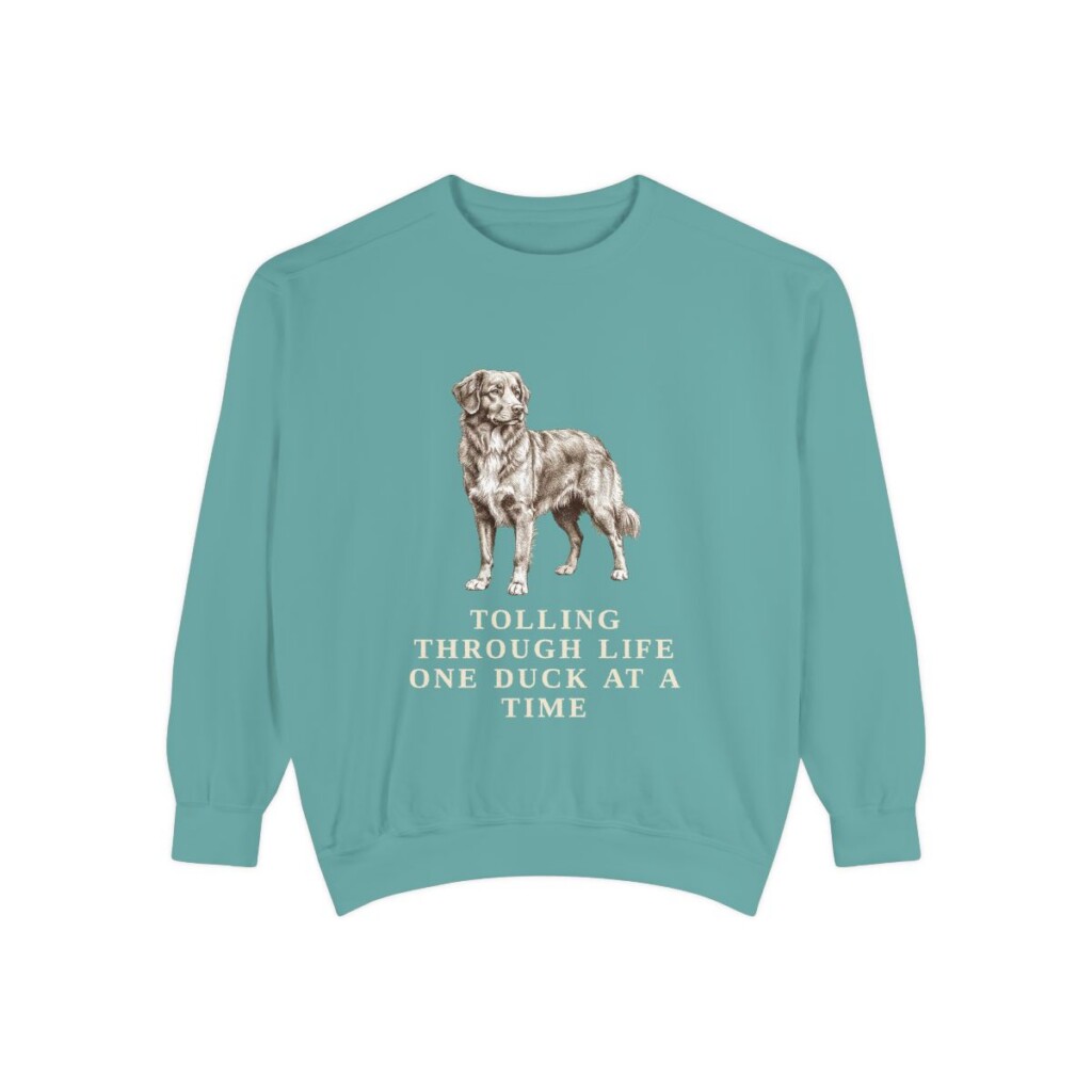 Nova Scotia Duck Tolling Retriever Humor Sweatshirt, Seafoam, front view