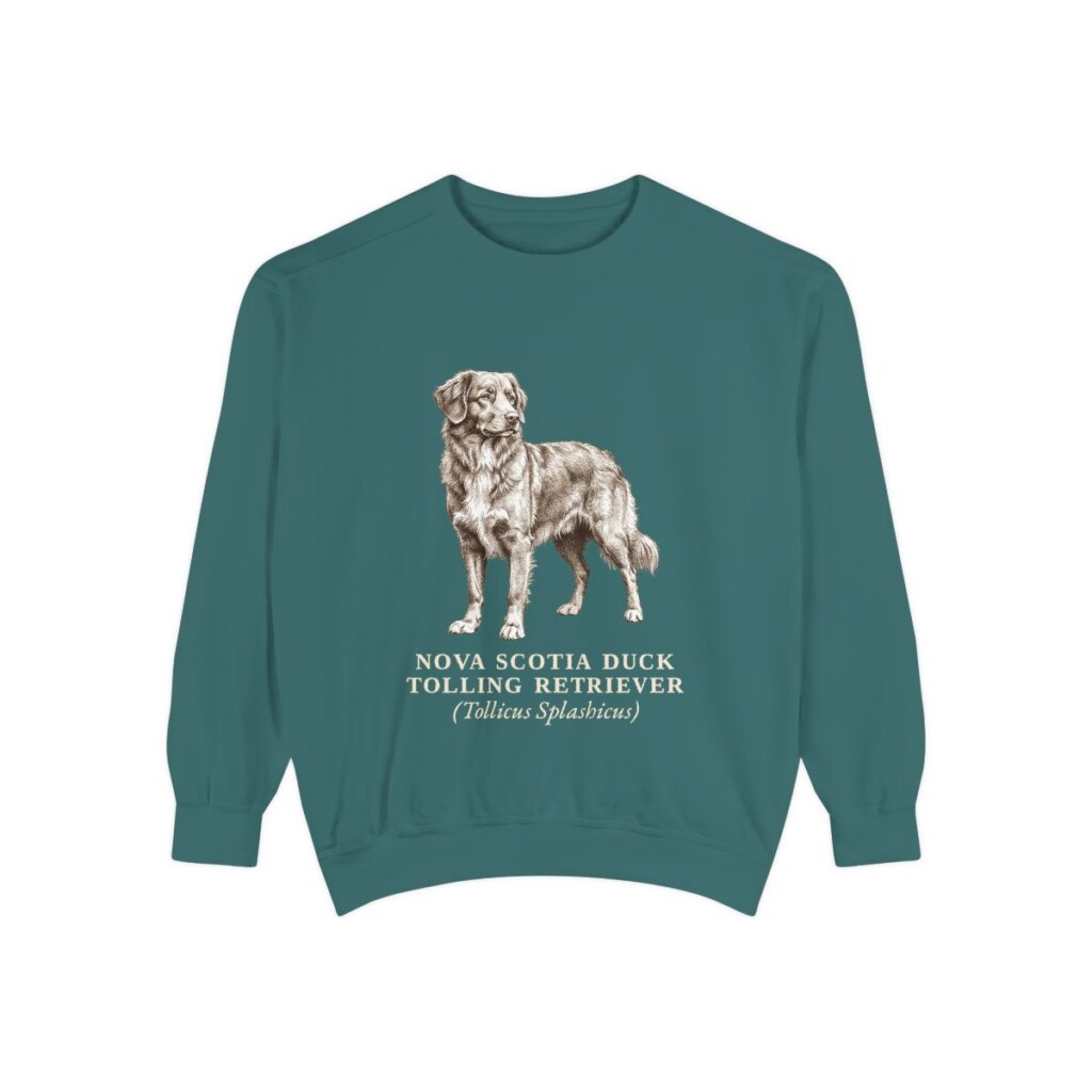 nova-scotia-duck-tolling-retriever-sweatshirt-latin-blue-spruce Nova Scotia Duck Tolling Retriever Latin Sweatshirt, Blue Spruce, front view