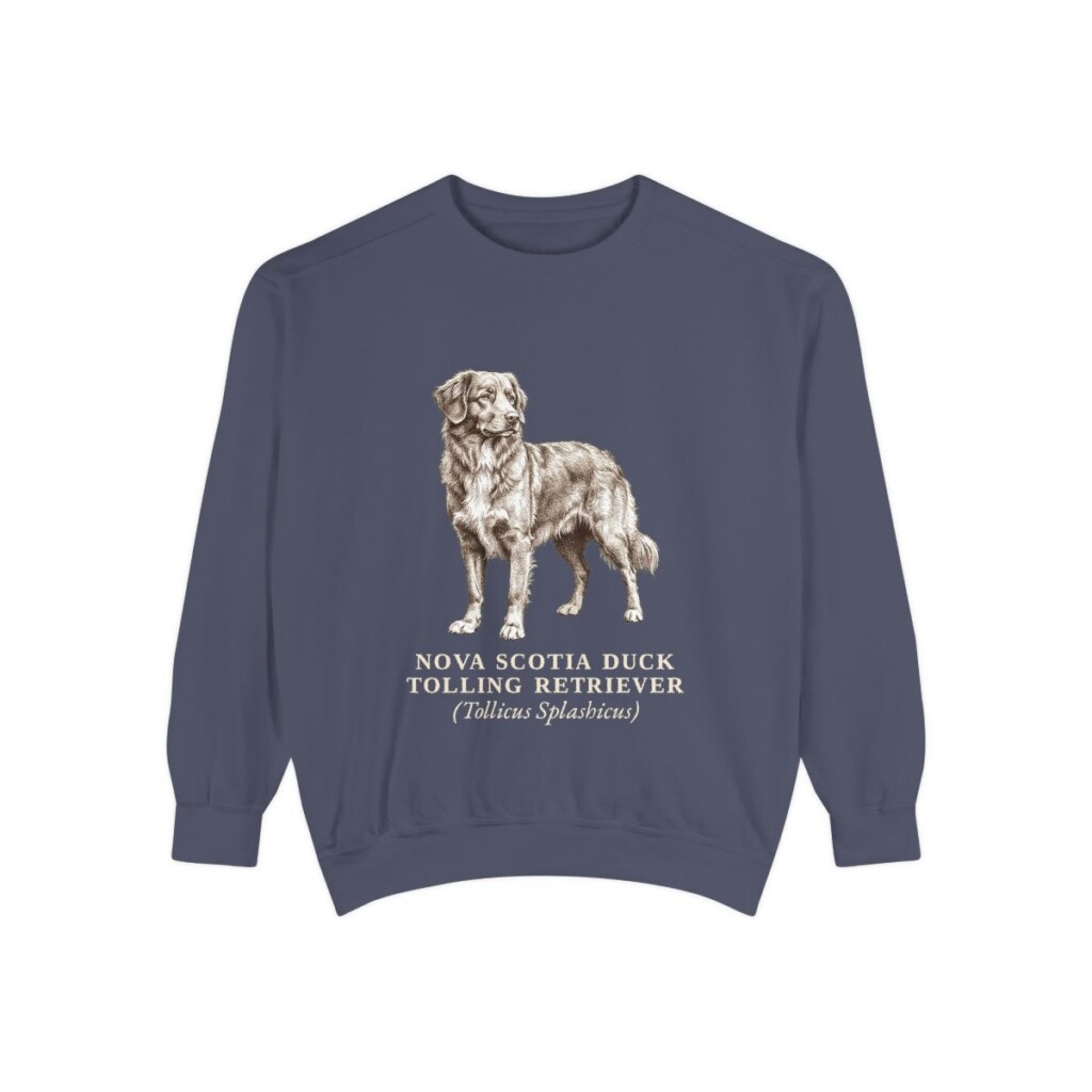 nova-scotia-duck-tolling-retriever-sweatshirt-latin-denim Nova Scotia Duck Tolling Retriever Latin Sweatshirt, Denim, front view