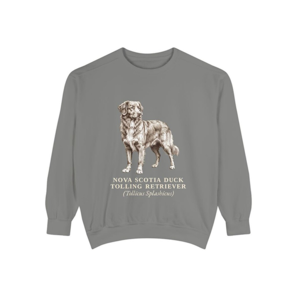 nova-scotia-duck-tolling-retriever-sweatshirt-latin-grey Nova Scotia Duck Tolling Retriever Latin Sweatshirt, Grey, front view