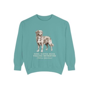 Nova Scotia Duck Tolling Retriever Latin Sweatshirt, Seafoam, front view