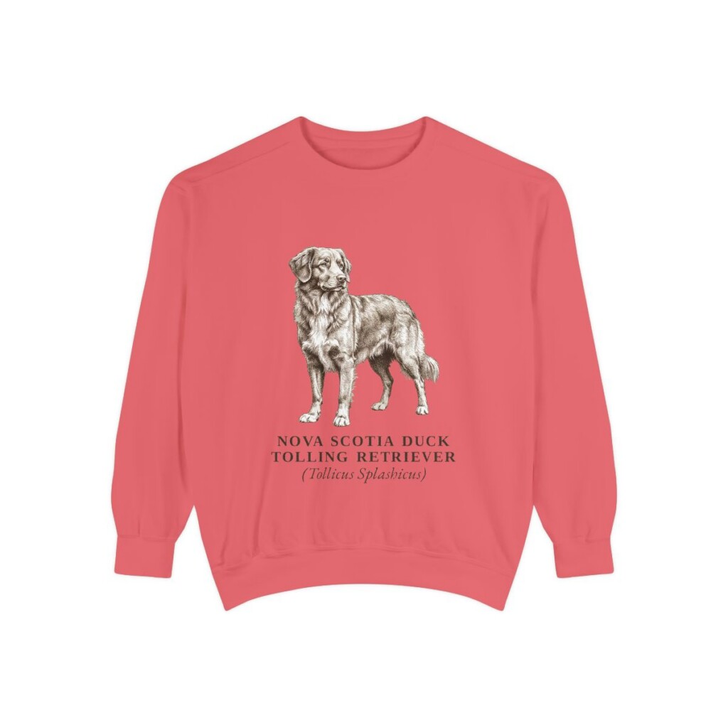 nova-scotia-duck-tolling-retriever-sweatshirt-latin-watermelon Nova Scotia Duck Tolling Retriever Latin Sweatshirt, Watermelon, front view