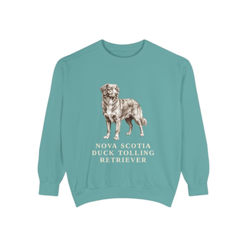 Nova Scotia Duck Tolling Retriever Sweatshirt, Seafoam, front view