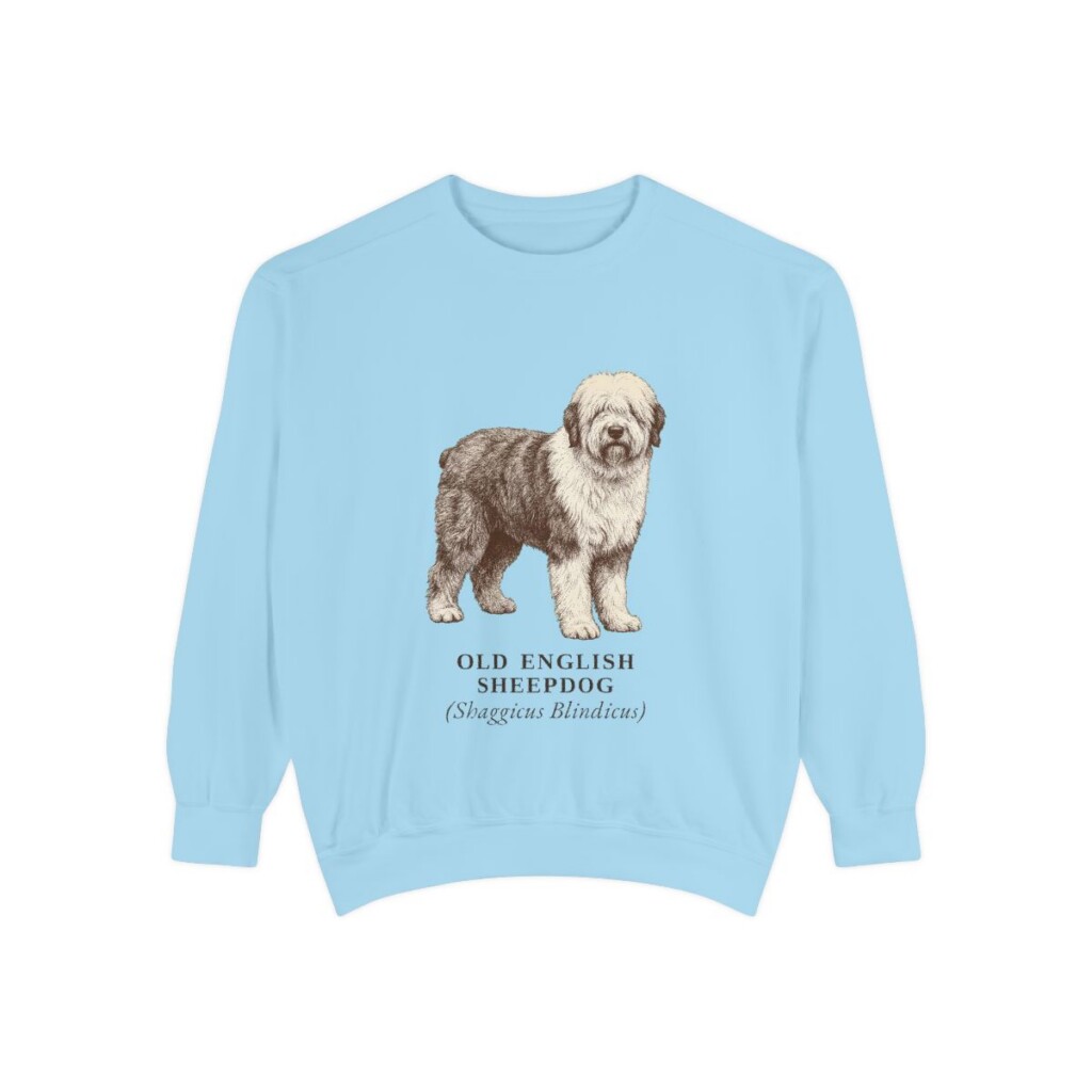 old-english-sheepdog-sweatshirt-latin-chambray Old English Sheepdog Latin Sweatshirt, Chambray, front view