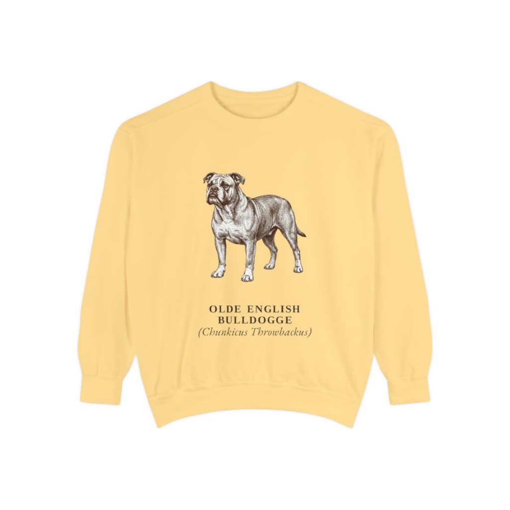 olde-english-bulldogge-sweatshirt-latin-butter Olde English Bulldogge Latin Sweatshirt, Butter, front view