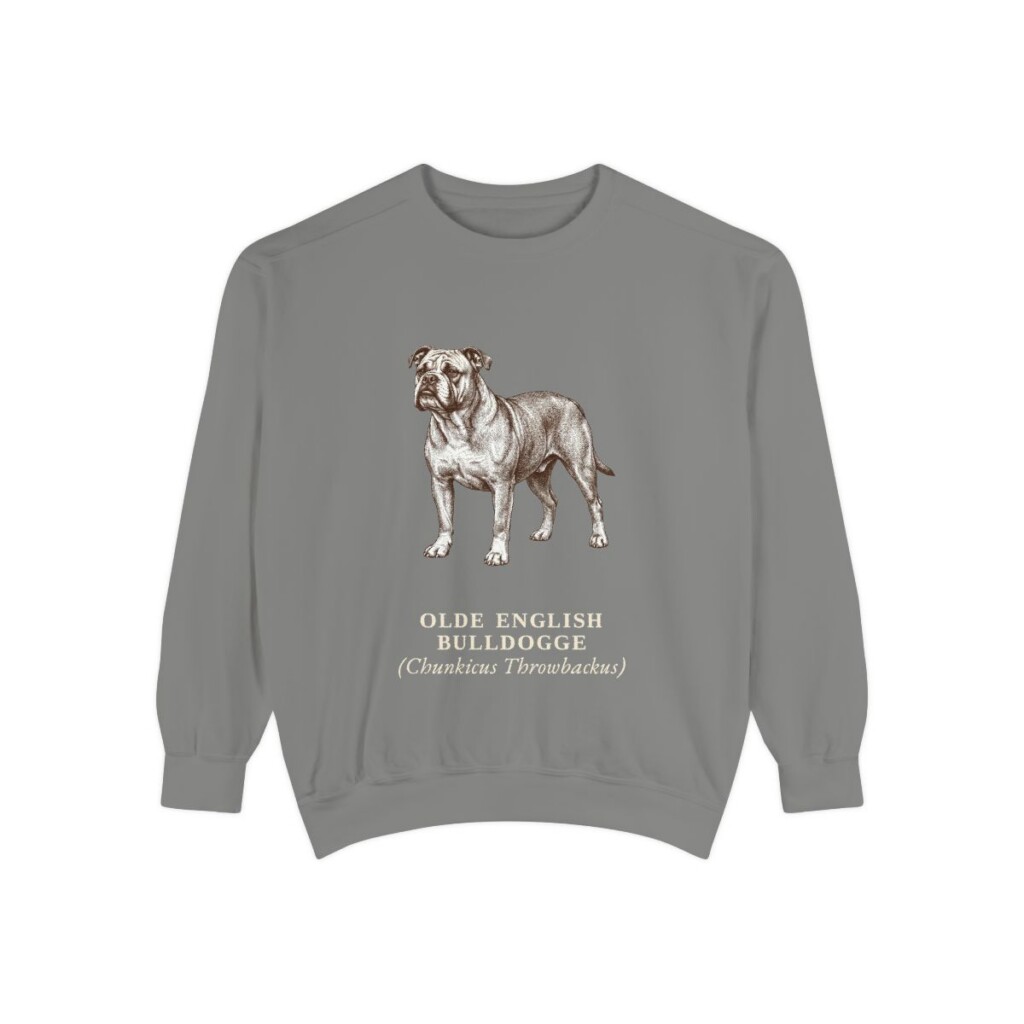 olde-english-bulldogge-sweatshirt-latin-grey Olde English Bulldogge Latin Sweatshirt, Grey, front view