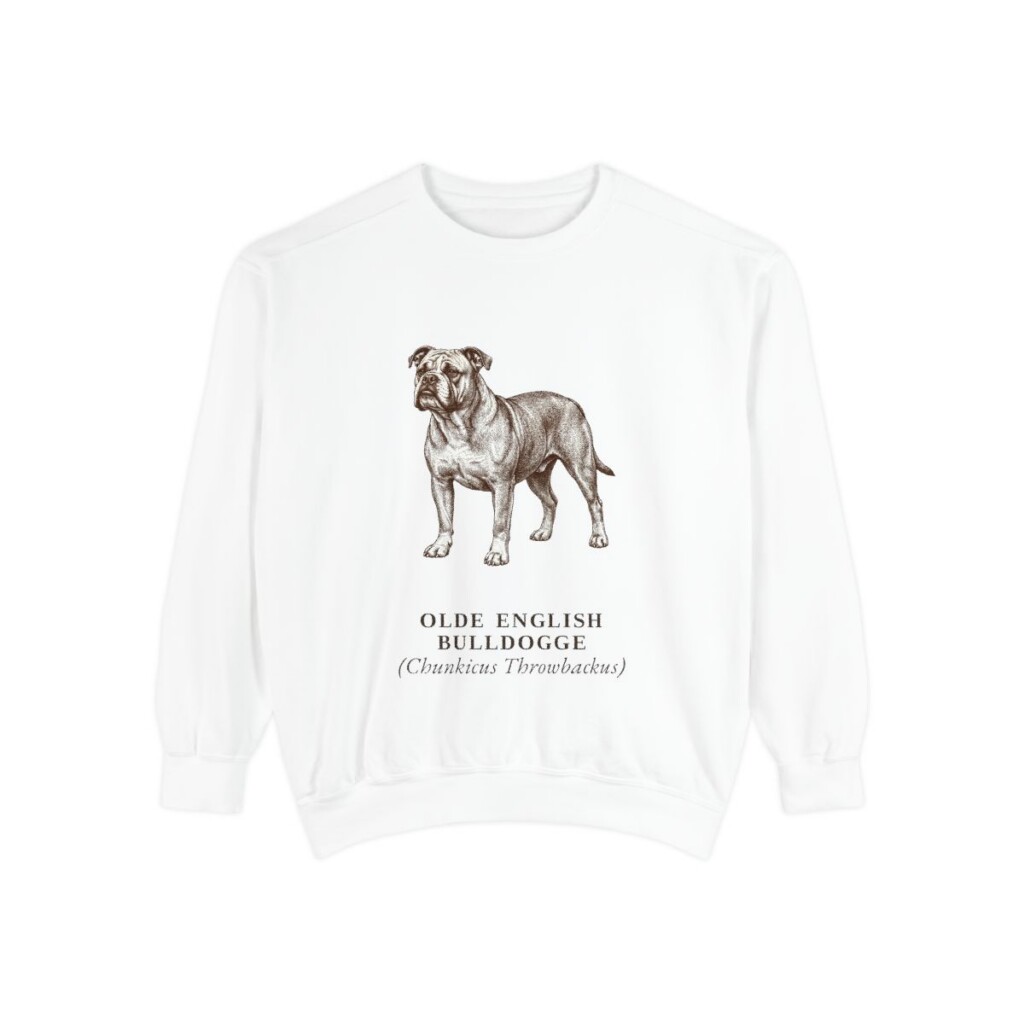 olde-english-bulldogge-sweatshirt-latin-white Olde English Bulldogge Latin Sweatshirt, White, front view