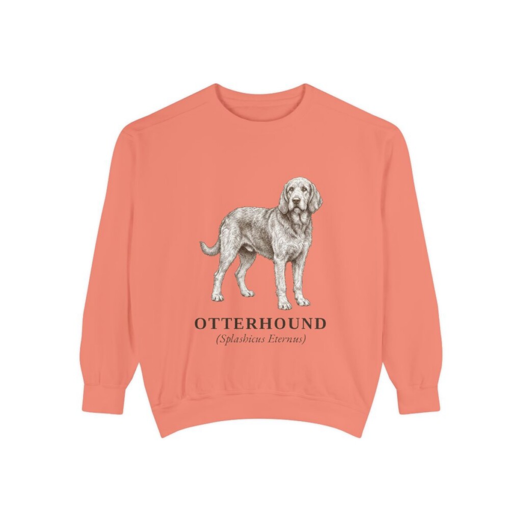 Otterhound Latin Sweatshirt, Terracotta, front view
