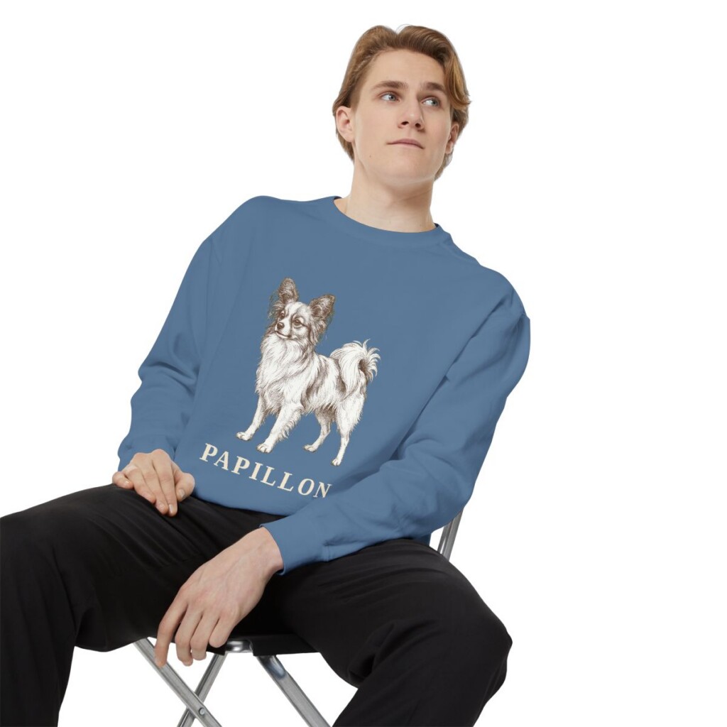 Papillon Sweatshirt, Blue Jean, person 1 context