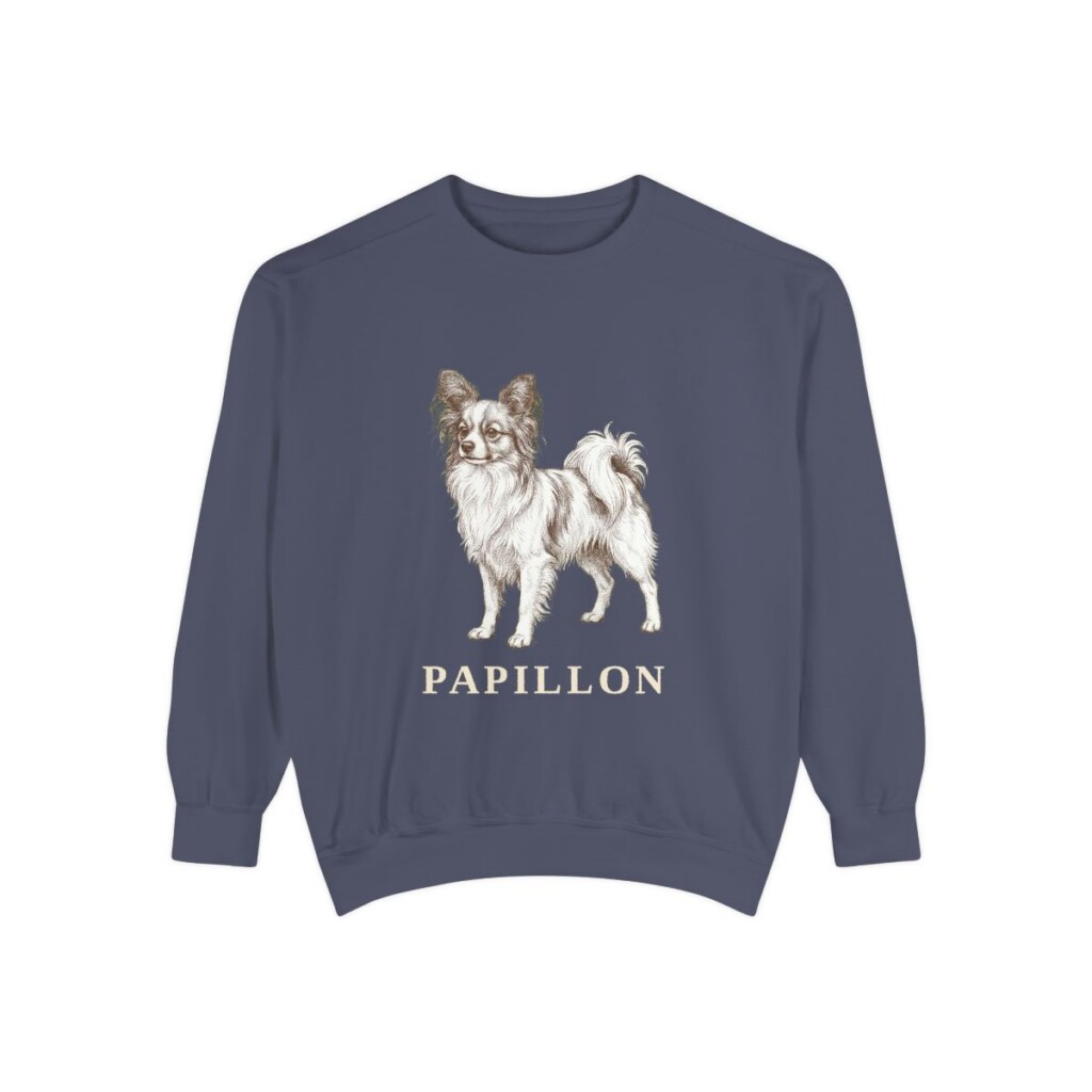 Papillon Sweatshirt, Denim, front view