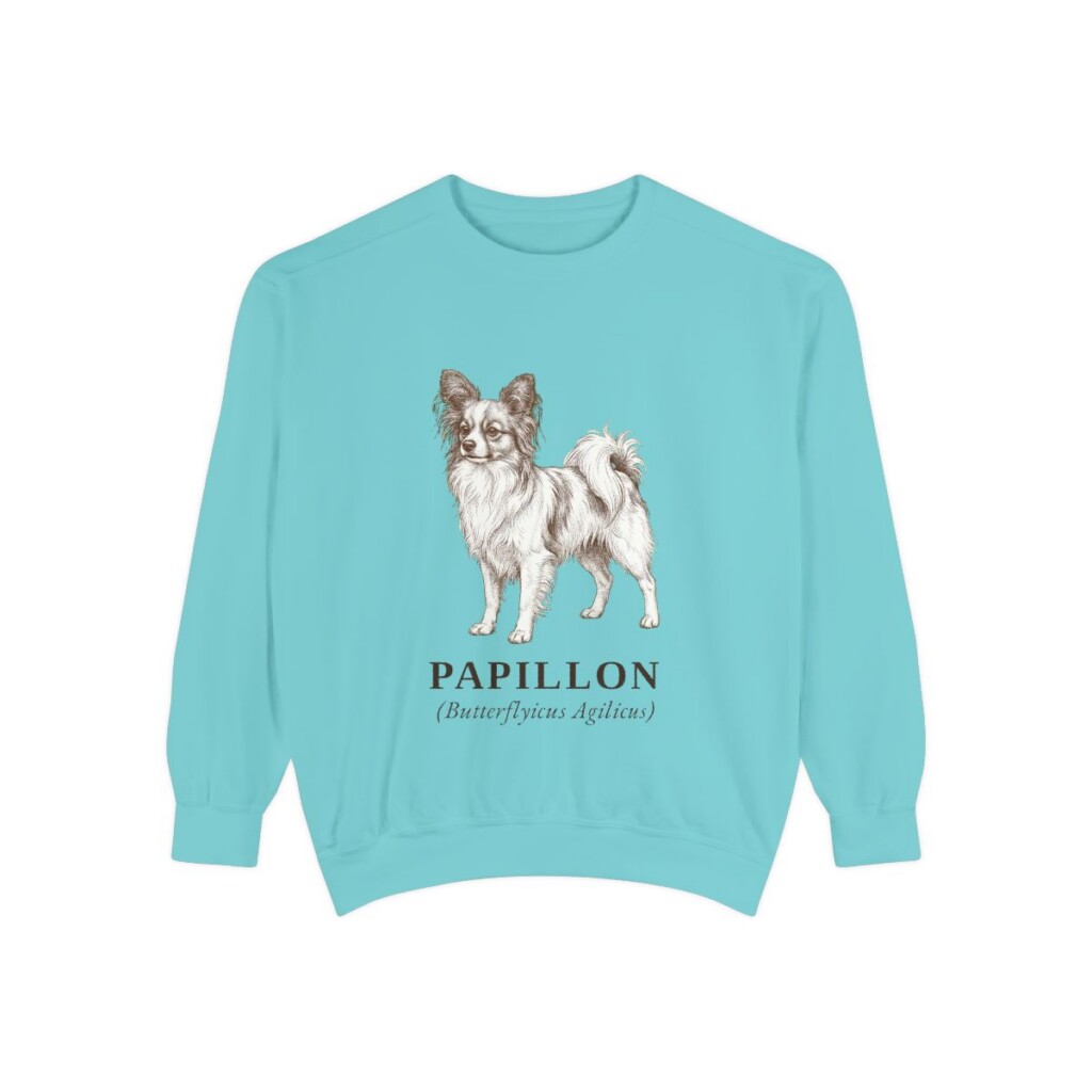 Papillon Latin Sweatshirt, Chalky Mint, front view