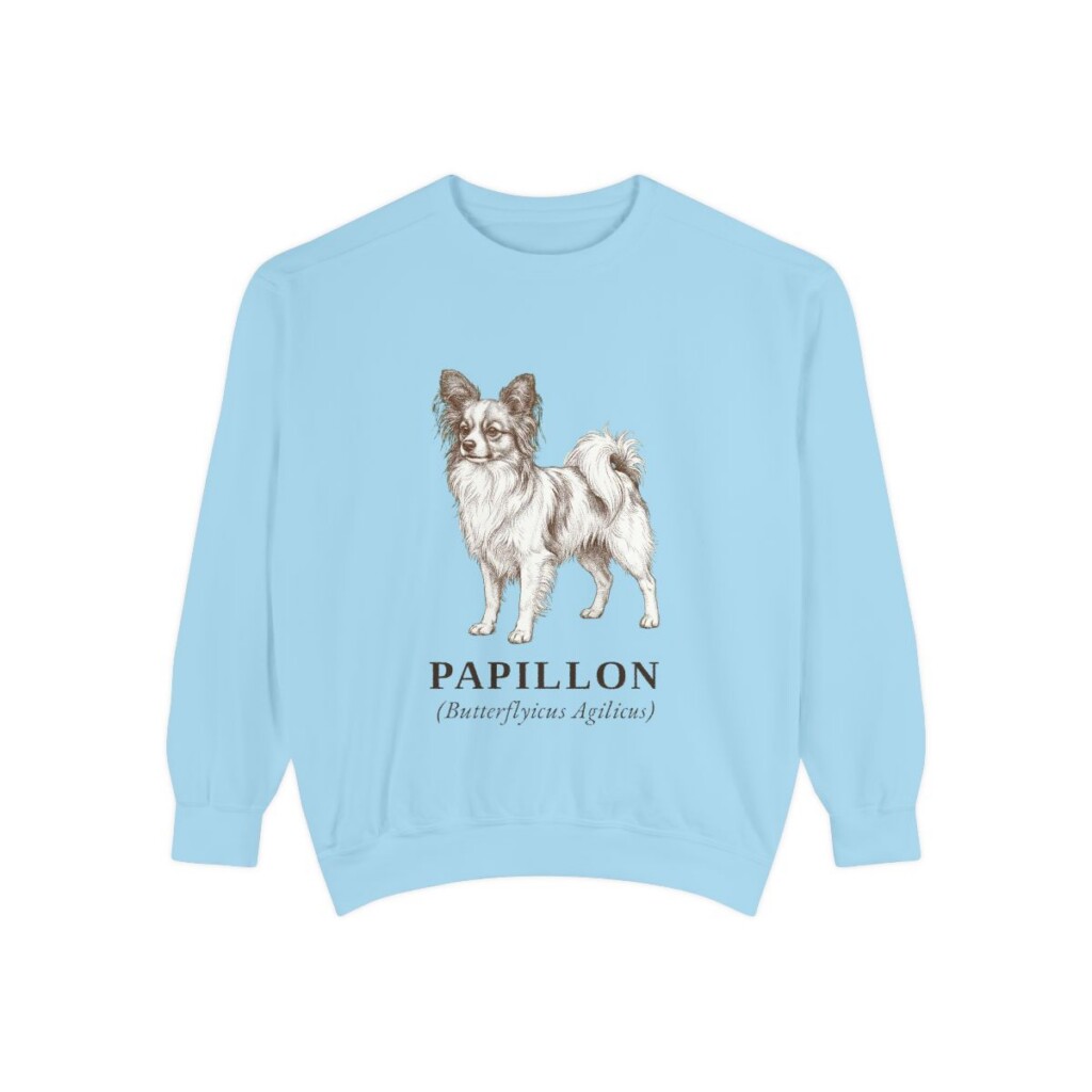 Papillon Latin Sweatshirt, Chambray, front view