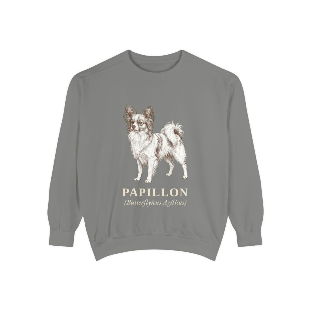 Papillon Latin Sweatshirt, Grey, front view