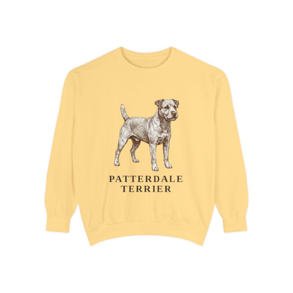 Patterdale Terrier Sweatshirt, Butter, front view