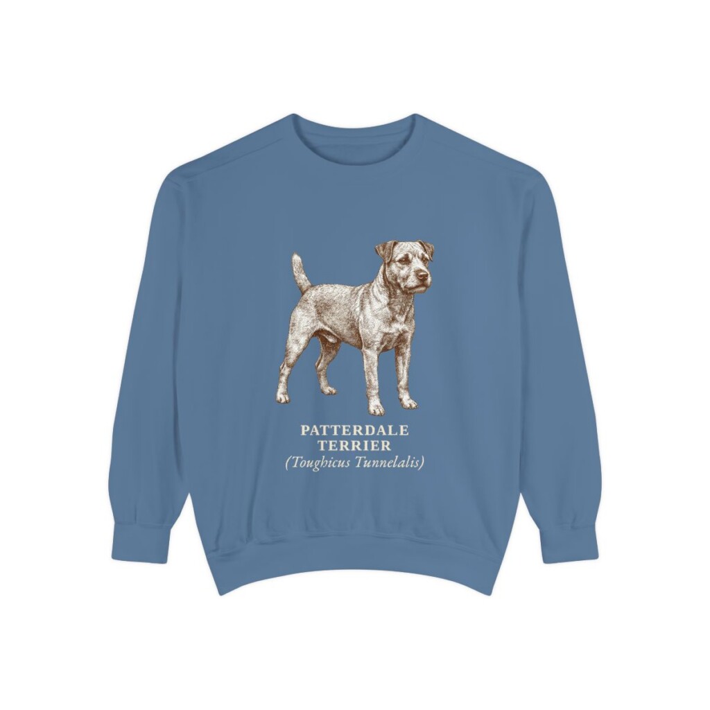 patterdale-terrier-sweatshirt-latin-blue-jean Patterdale Terrier Latin Sweatshirt, Blue Jean, front view