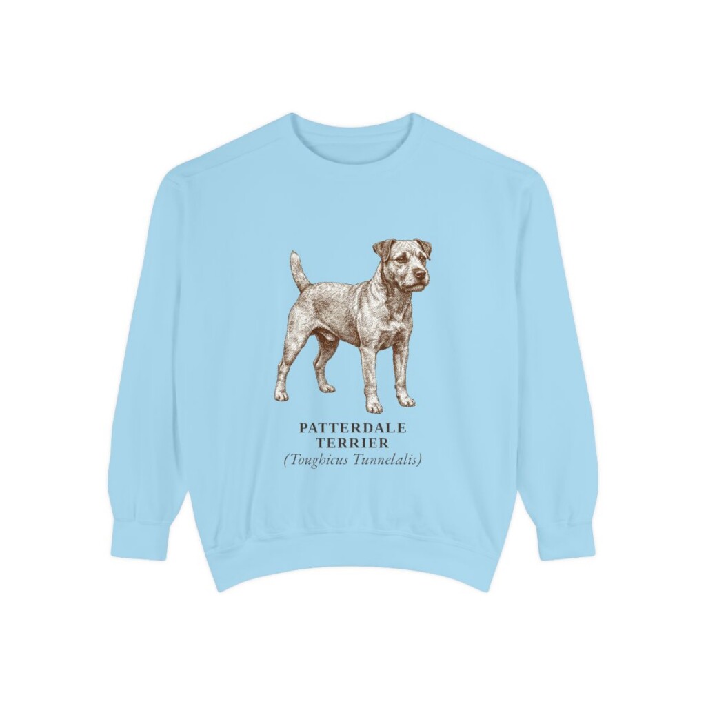 patterdale-terrier-sweatshirt-latin-chambray Patterdale Terrier Latin Sweatshirt, Chambray, front view