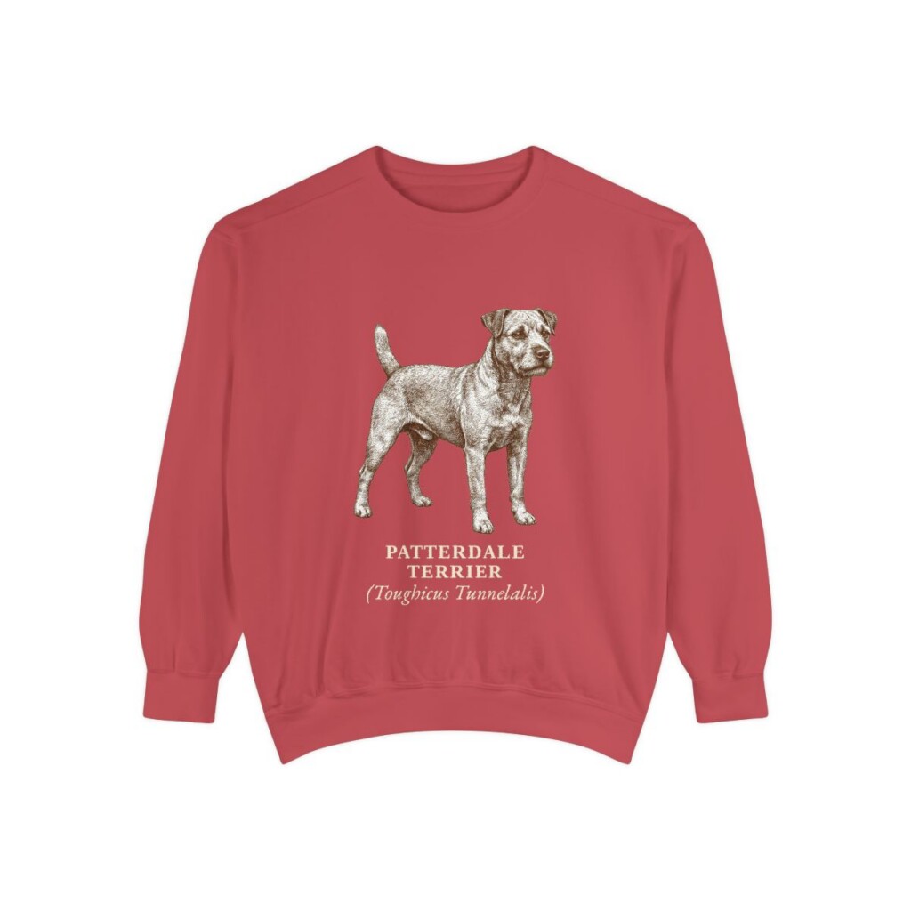 patterdale-terrier-sweatshirt-latin-crimson Patterdale Terrier Latin Sweatshirt, Crimson, front view