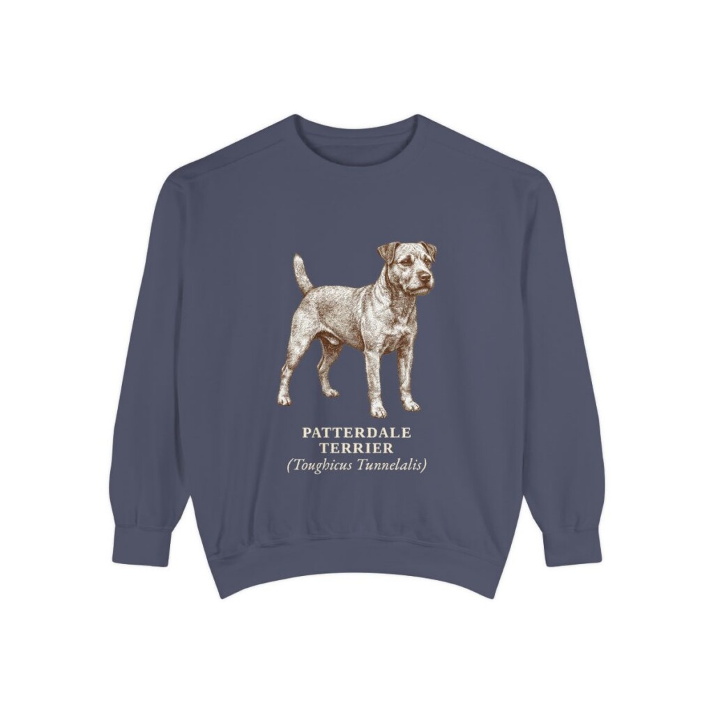 patterdale-terrier-sweatshirt-latin-denim Patterdale Terrier Latin Sweatshirt, Denim, front view