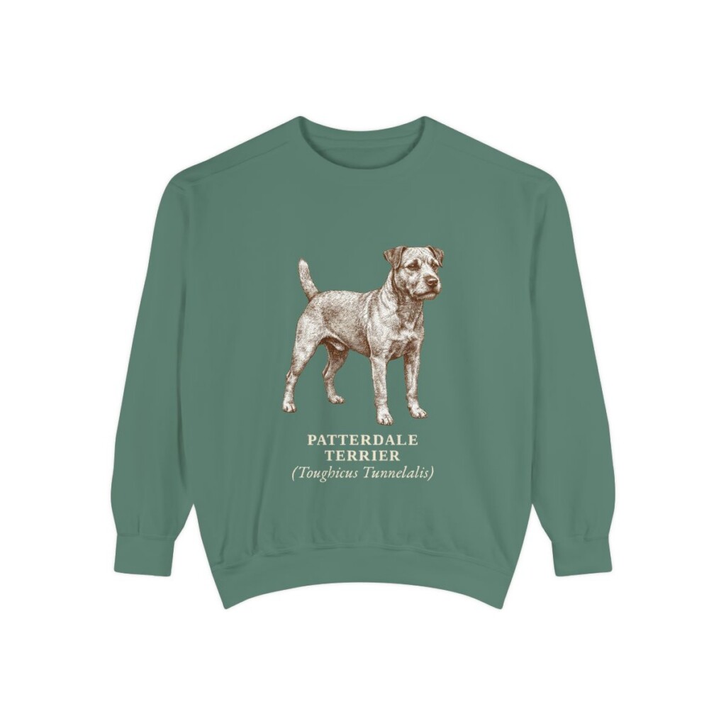 patterdale-terrier-sweatshirt-latin-light-green Patterdale Terrier Latin Sweatshirt, Light Green, front view